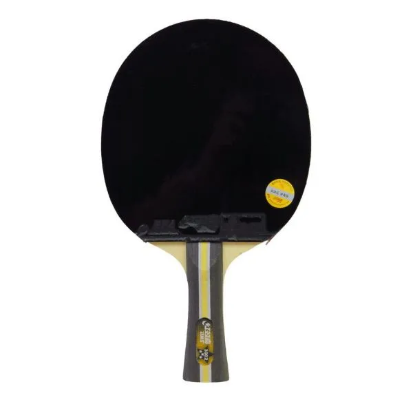 DHS -  Table Tennis Racket 3 stars Long Handle, In (Two Sides) (3002)