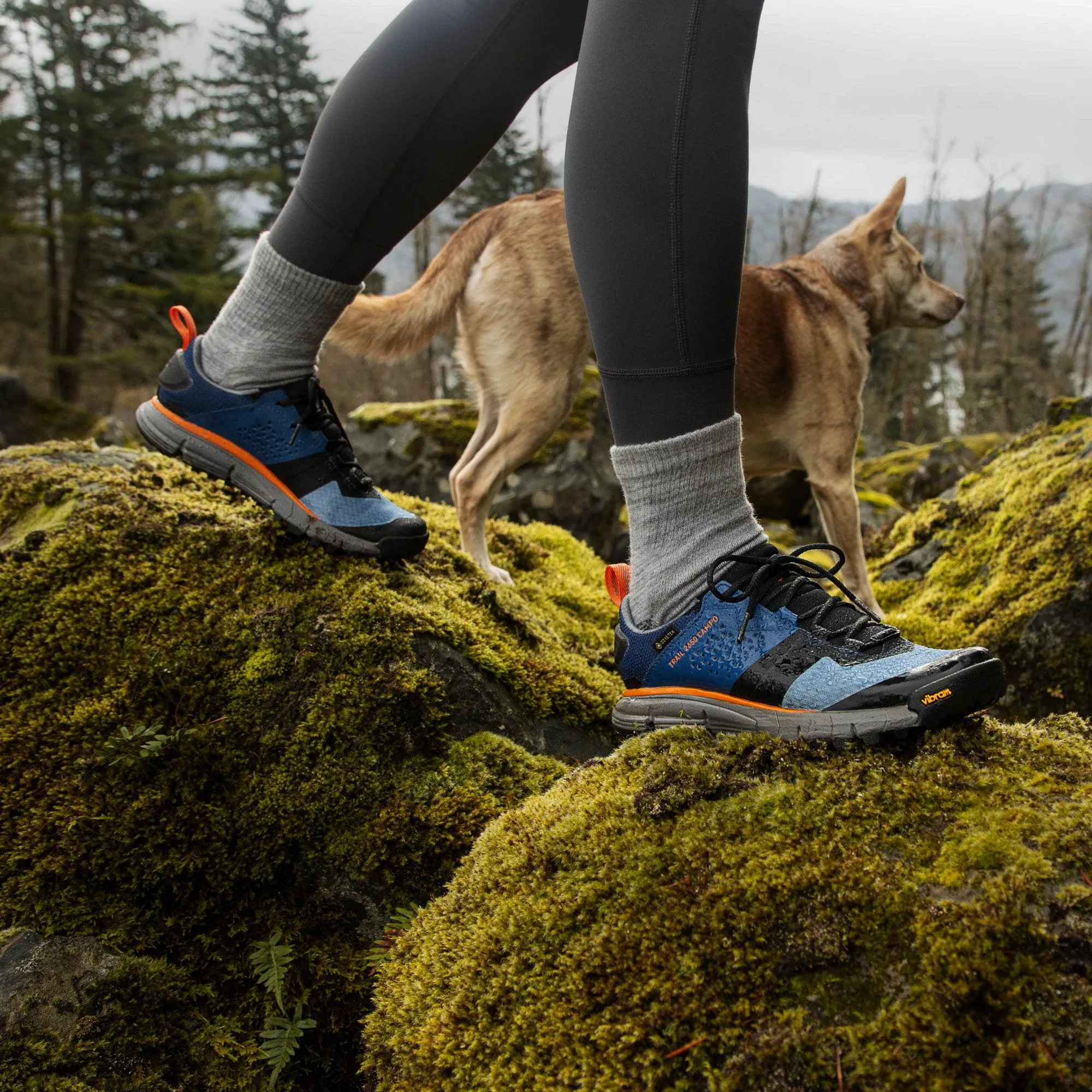 Women's Trail 2650 Campo 3" Blue/Orange GTX